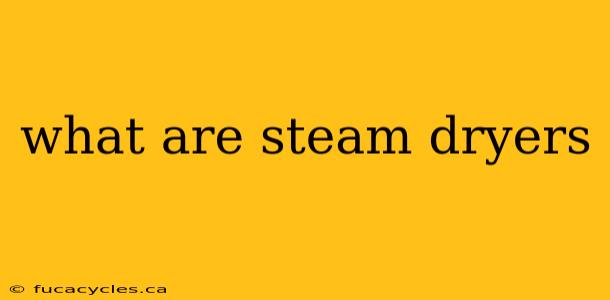 what are steam dryers