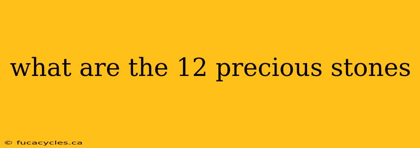 what are the 12 precious stones