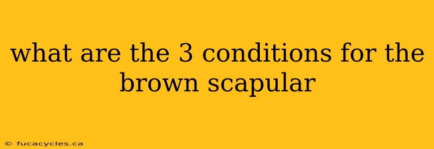 what are the 3 conditions for the brown scapular