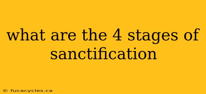 what are the 4 stages of sanctification