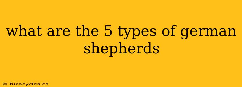 what are the 5 types of german shepherds