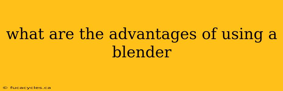 what are the advantages of using a blender