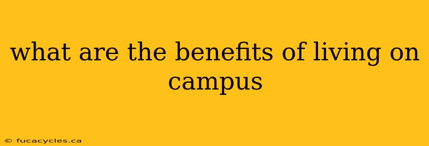 what are the benefits of living on campus