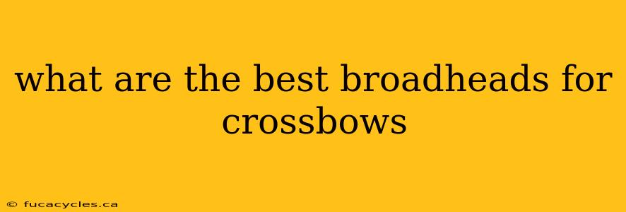 what are the best broadheads for crossbows