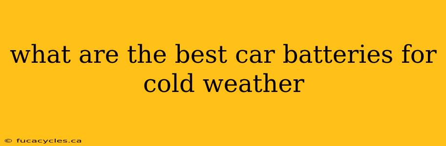 what are the best car batteries for cold weather