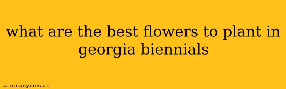 what are the best flowers to plant in georgia biennials