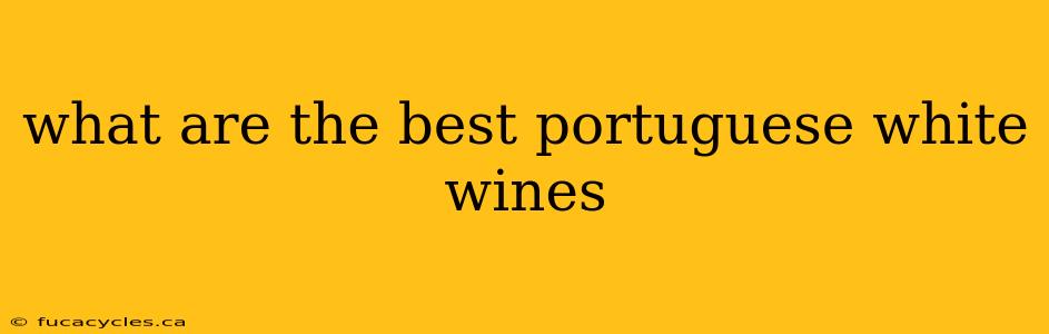 what are the best portuguese white wines