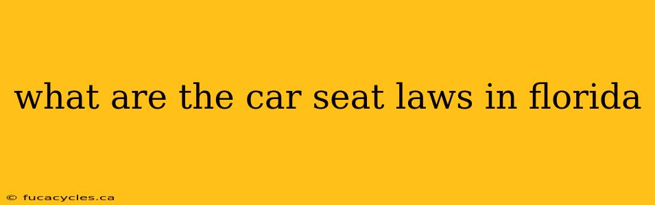 what are the car seat laws in florida