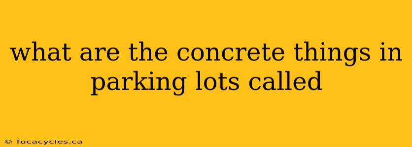 what are the concrete things in parking lots called