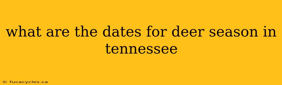 what are the dates for deer season in tennessee