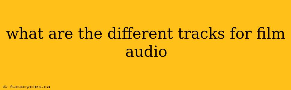 what are the different tracks for film audio