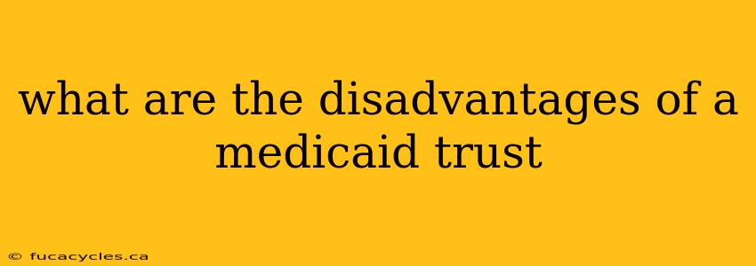 what are the disadvantages of a medicaid trust