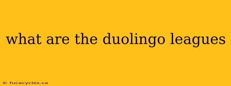 what are the duolingo leagues