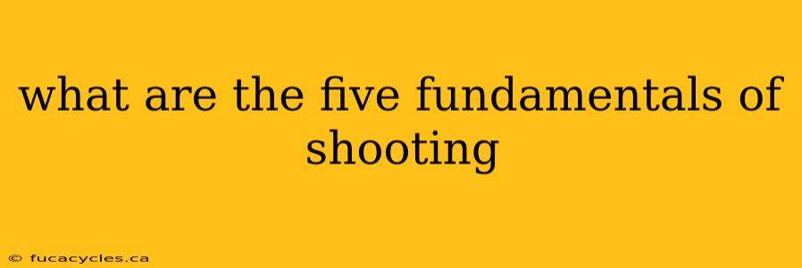 what are the five fundamentals of shooting