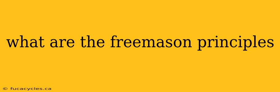 what are the freemason principles