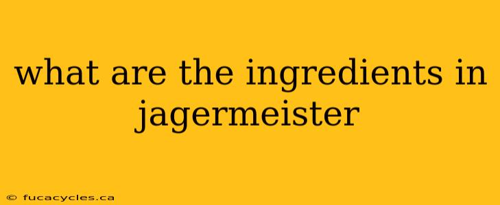 what are the ingredients in jagermeister