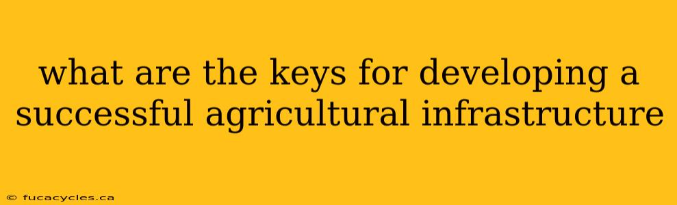 what are the keys for developing a successful agricultural infrastructure