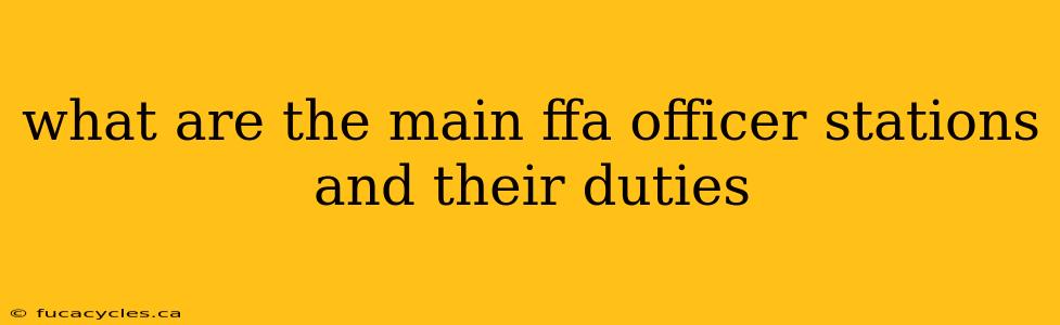 what are the main ffa officer stations and their duties