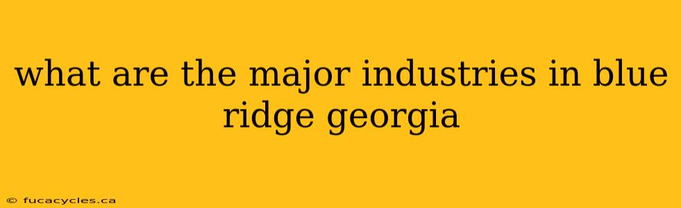 what are the major industries in blue ridge georgia