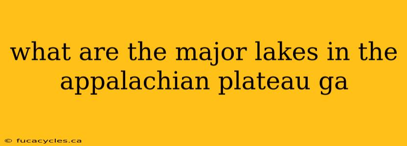 what are the major lakes in the appalachian plateau ga