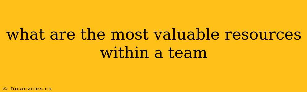 what are the most valuable resources within a team