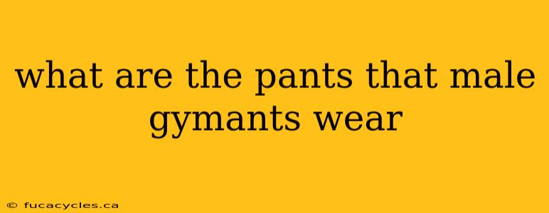 what are the pants that male gymants wear