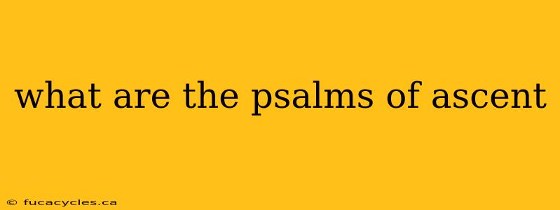 what are the psalms of ascent