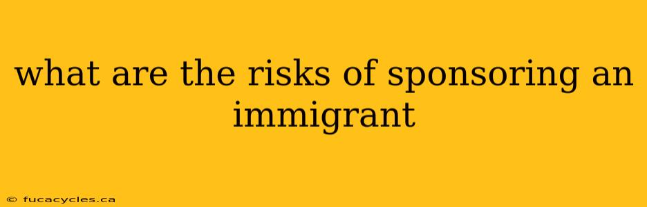 what are the risks of sponsoring an immigrant