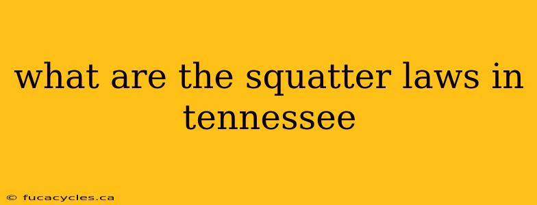 what are the squatter laws in tennessee