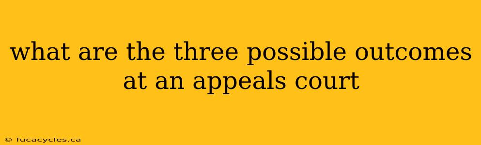 what are the three possible outcomes at an appeals court