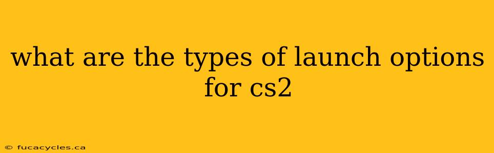 what are the types of launch options for cs2