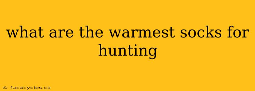 what are the warmest socks for hunting