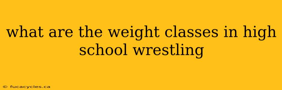 what are the weight classes in high school wrestling