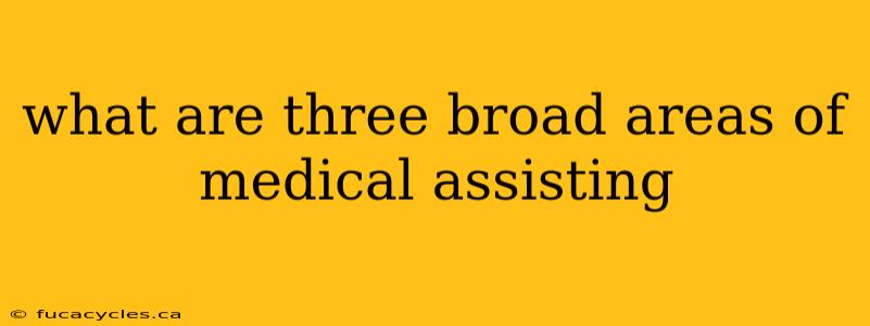 what are three broad areas of medical assisting