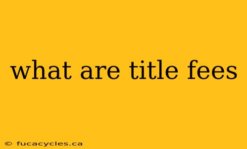 what are title fees