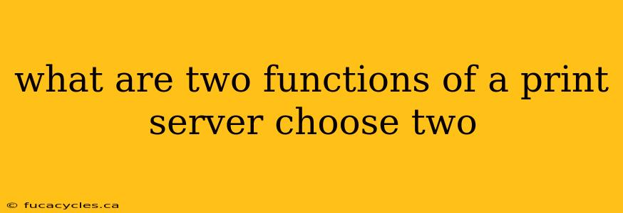 what are two functions of a print server choose two