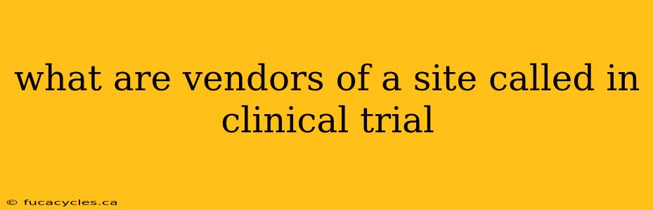 what are vendors of a site called in clinical trial