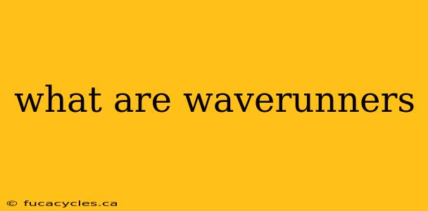 what are waverunners