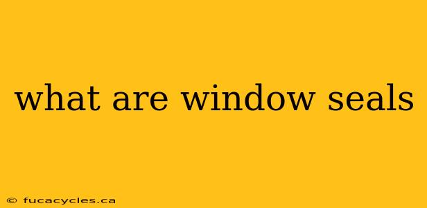 what are window seals