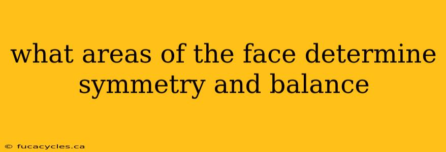 what areas of the face determine symmetry and balance