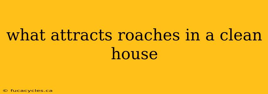 what attracts roaches in a clean house