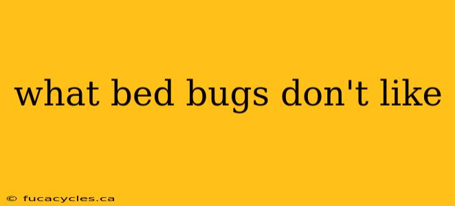 what bed bugs don't like