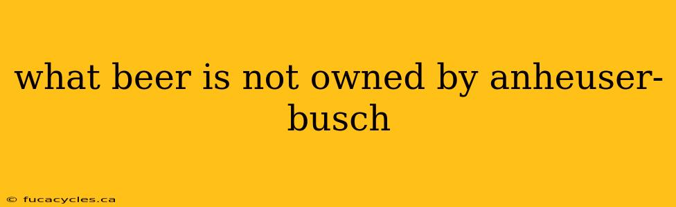 what beer is not owned by anheuser-busch