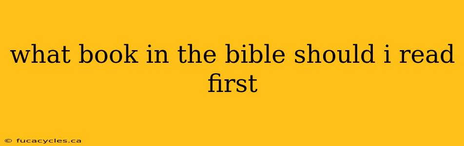 what book in the bible should i read first