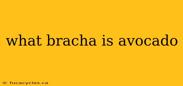 what bracha is avocado