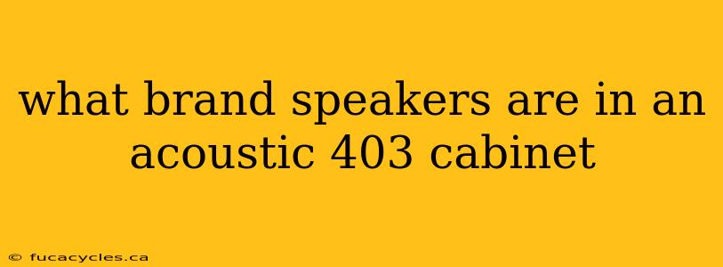 what brand speakers are in an acoustic 403 cabinet