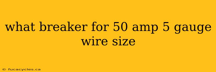 what breaker for 50 amp 5 gauge wire size