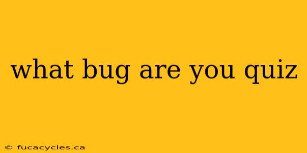 what bug are you quiz