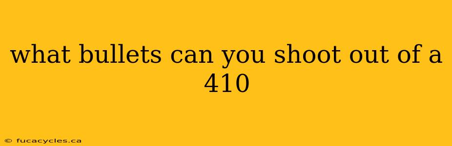 what bullets can you shoot out of a 410