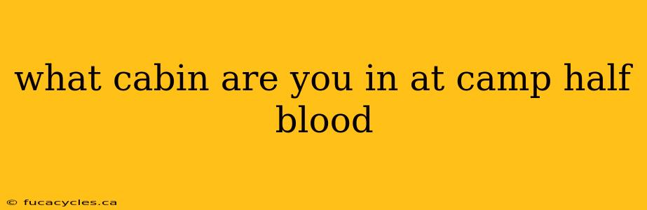 what cabin are you in at camp half blood